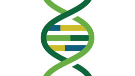 Only Two Weeks Remain Until the ASHG 2024 Annual Meeting <em></br>Human Genetics and Genomics Research Community to Come to Denver</em>