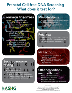 Prenatal Cell-Free DNA: What does it test for? infographic