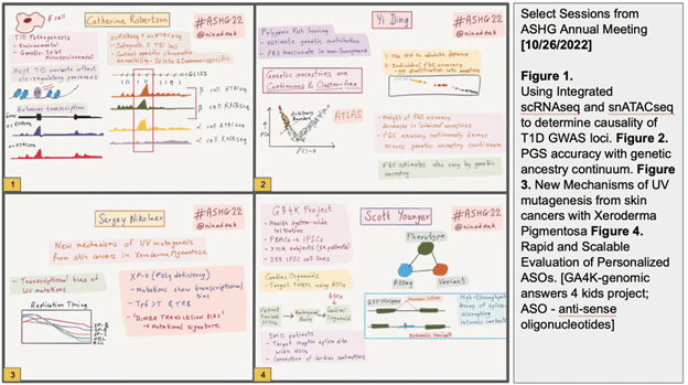 Select Sessions ASHG Annual Meeting (10/26/2022) Figure 1. Using integrated scRNAseq and snATACseq and to determine causality of TID GWAS loci. Figure 2.PGS accuracy with genetic ancestry continum. Figure 3. New Mechinisms of UV mutagenesis from skin cancers with Xeroderma Pigmentosa Figure 4. Rapid and Scalable Evaluation of Personalized ASOs. [GA4K-genomic answers 4 kids project; ASO - anti-sense oligonucleotides]