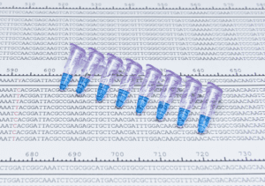 Point mutation in DNA gene